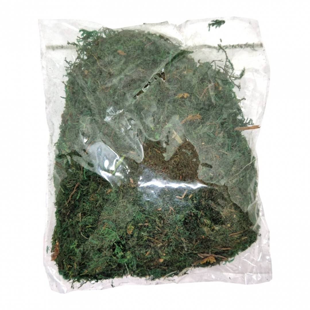 Licheni artificiali, 20 grame, verde