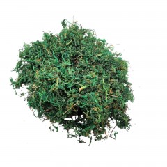 Licheni artificiali, 20 grame, verde